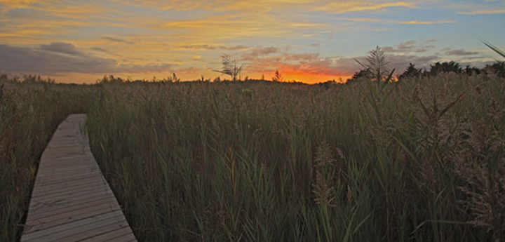 Path to Stonewall Pond